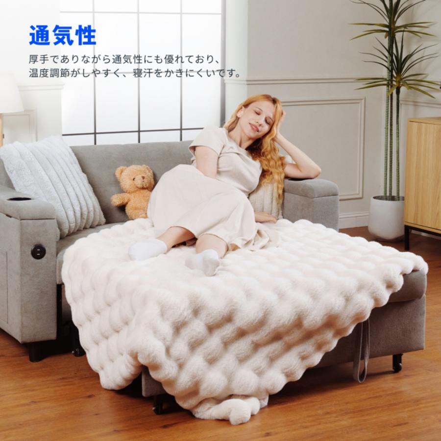 FlexiSpot 毛布 ブランケット FlexiSpot bp1 ふわとろ毛布 2枚合わせ