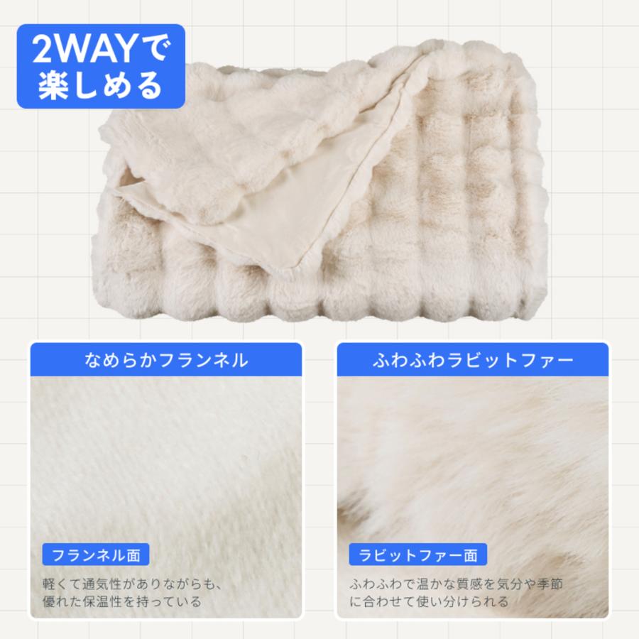 FlexiSpot 毛布 ブランケット FlexiSpot bp1 ふわとろ毛布 2枚合わせ