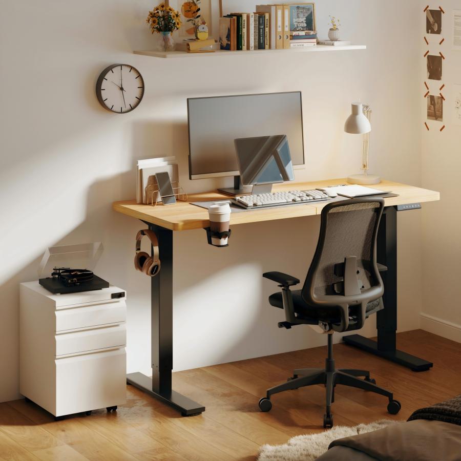 FlexiSpot 昇降式デスク 電動 昇降デスク Sanodesk E150 Basic