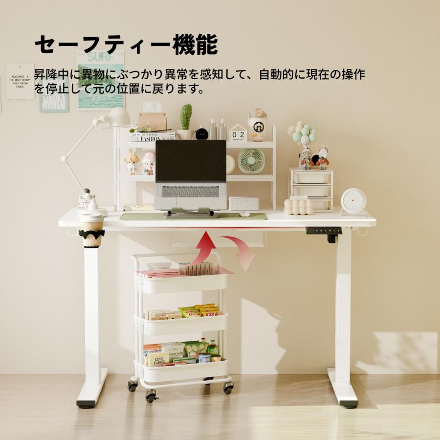 FlexiSpot 昇降式デスク 電動 昇降デスク Sanodesk E150 Basic