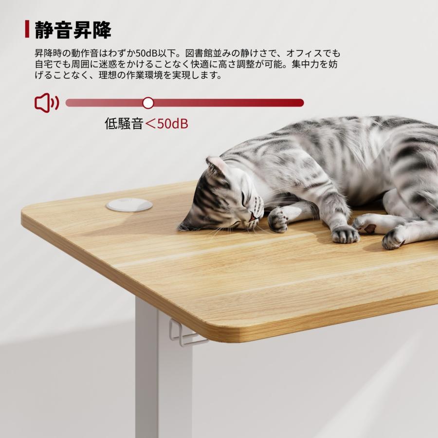 FlexiSpot 電動昇降デスク Sanodesk FQ1 パソコンデスク 120cm FlexiSpot 電動昇降デスク Sanodesk FQ1 パソコンデスク 120cm