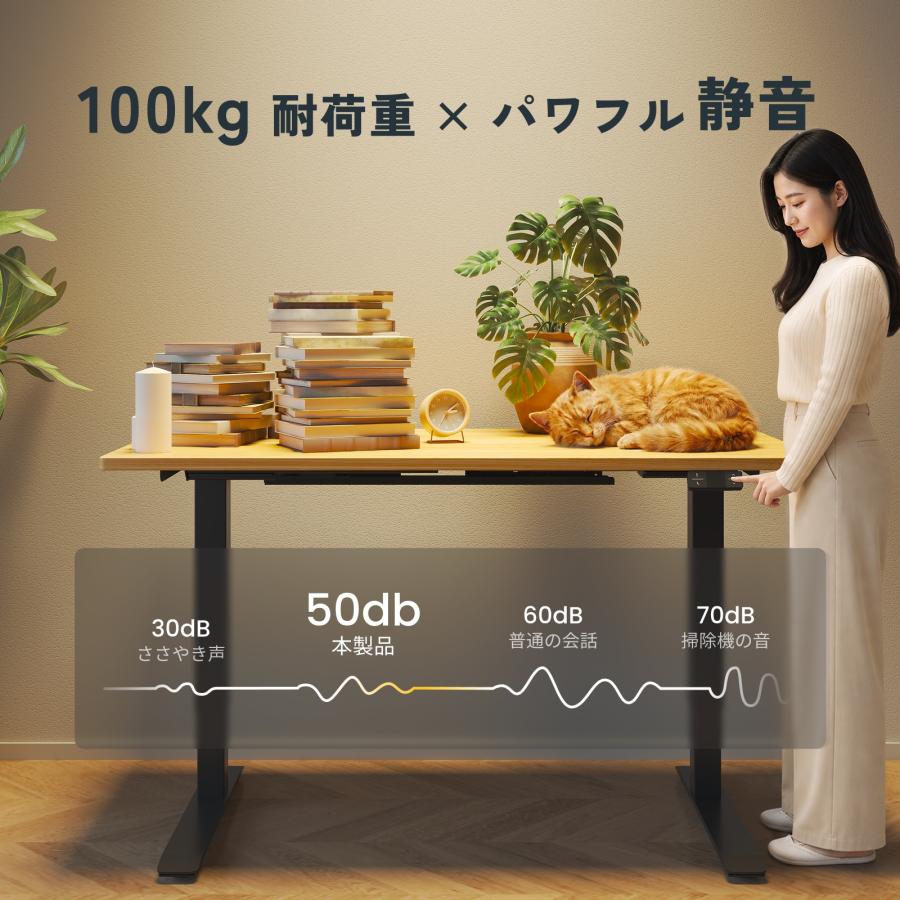 FlexiSpot 昇降式デスク 電動 FlexiSpot E5pro デスク パソコンデスク