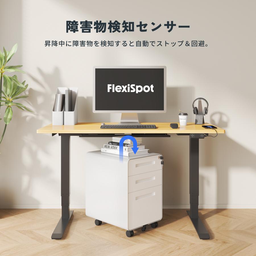 昇降デスク 電動 FlexiSpot E5pro 昇降式デスク デスク 昇降 机 パソコンデスク オフィスデスク 電動昇降式デスク スタンディングデスク 事務机 脚部のみ 爆買 | FlexiSpot | 10