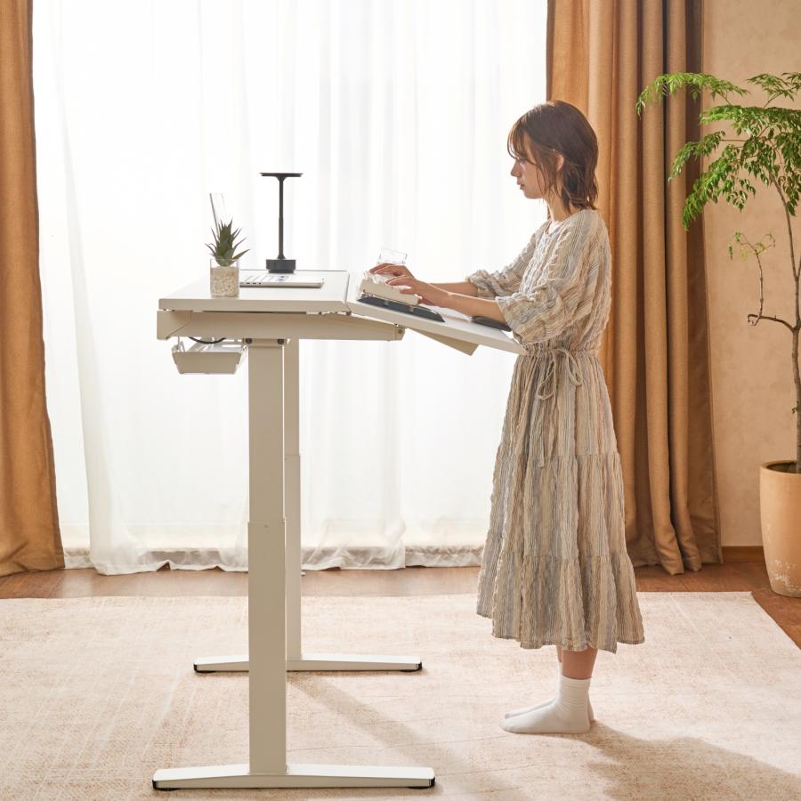 FlexiSpot 昇降式デスク 電動 昇降デスク FlexiSpot E6 オフィスデスク