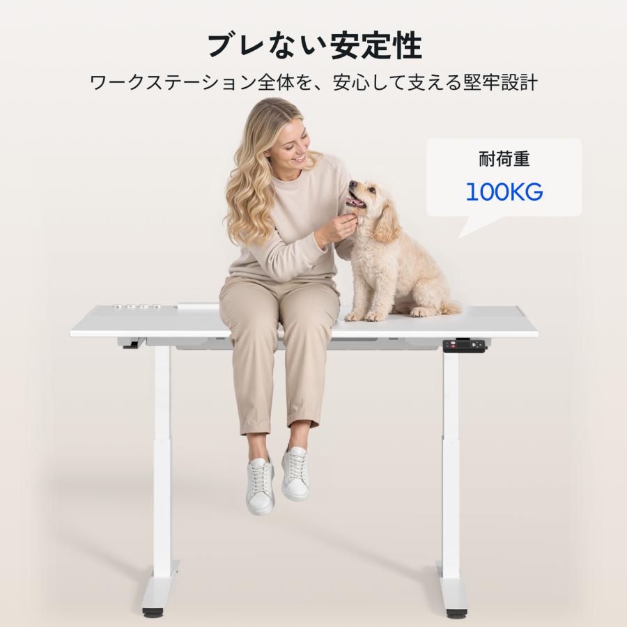 FlexiSpot 昇降式デスク 電動 昇降デスク FlexiSpot E6 オフィスデスク