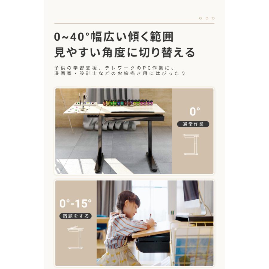 FlexiSpot 昇降デスク 天板角度調整 昇降テーブル FlexiSpot ED1B