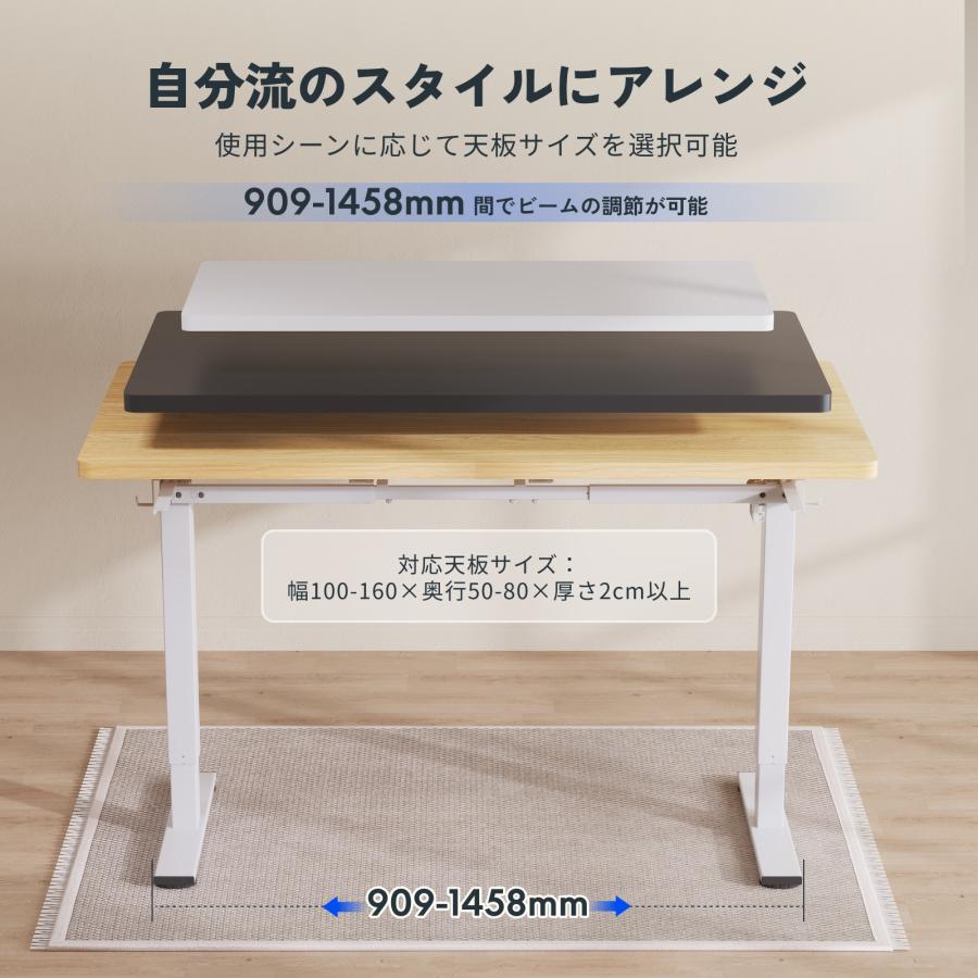 FlexiSpot EF1 電動昇降デスク 100*60cm FlexiSpot デスク 100 電動式昇降デスク EF1 スタンディング