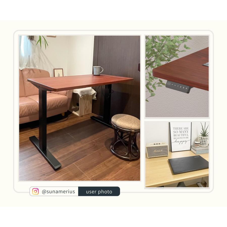 FlexiSpot デスク 100 電動式昇降デスク EF1 スタンディング FlexiSpot デスク 100 電動式昇降デスク EF1 スタンディング