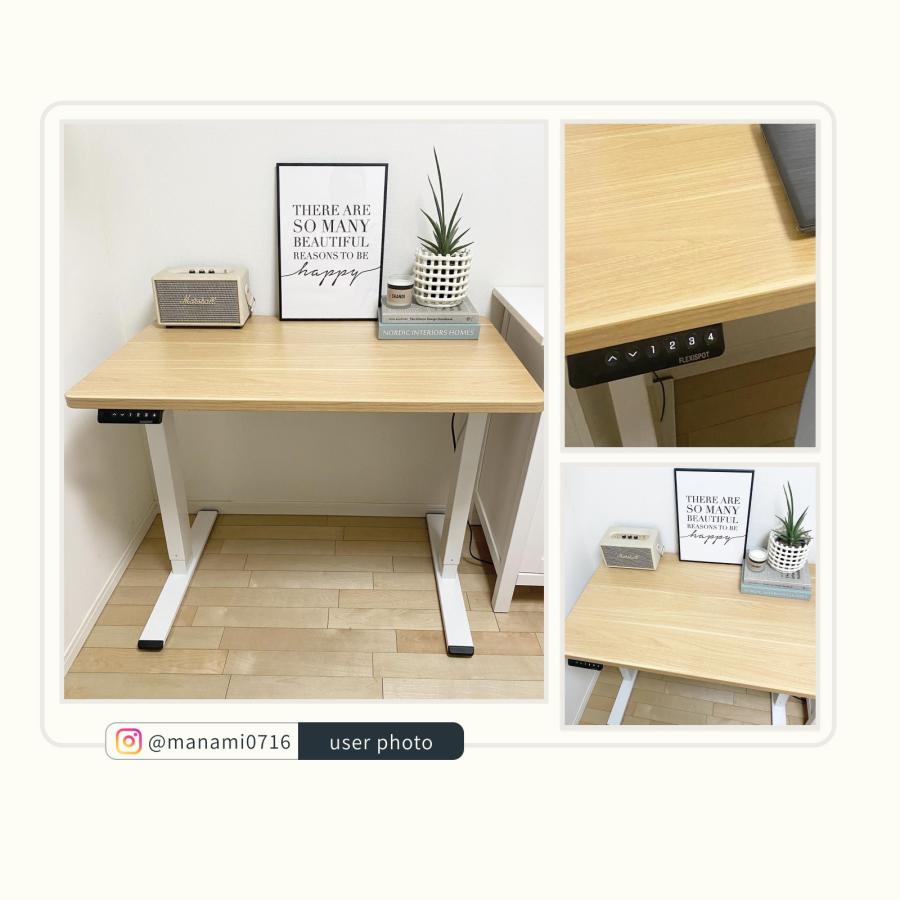 FlexiSpot 昇降式デスク 電動式 EF1 昇降デスク ゲーミング FlexiSpot 昇降式デスク 電動式 EF1 昇降デスク ゲーミング