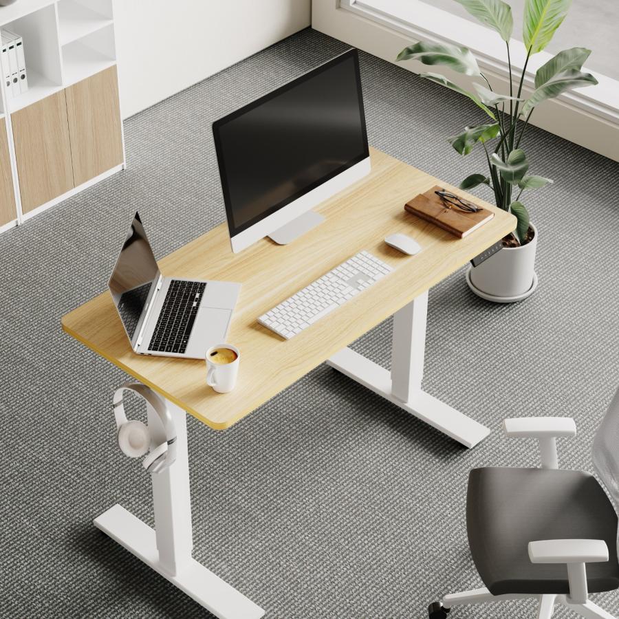 FlexiSpot 昇降式デスク 電動式 EF1 昇降デスク ゲーミング