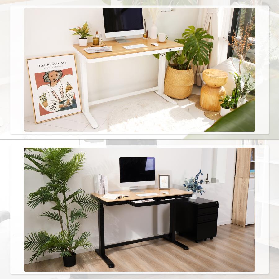 Flexispot EG8 ホワイト メイプル 未開封新品 | www.gravesandrichard.com