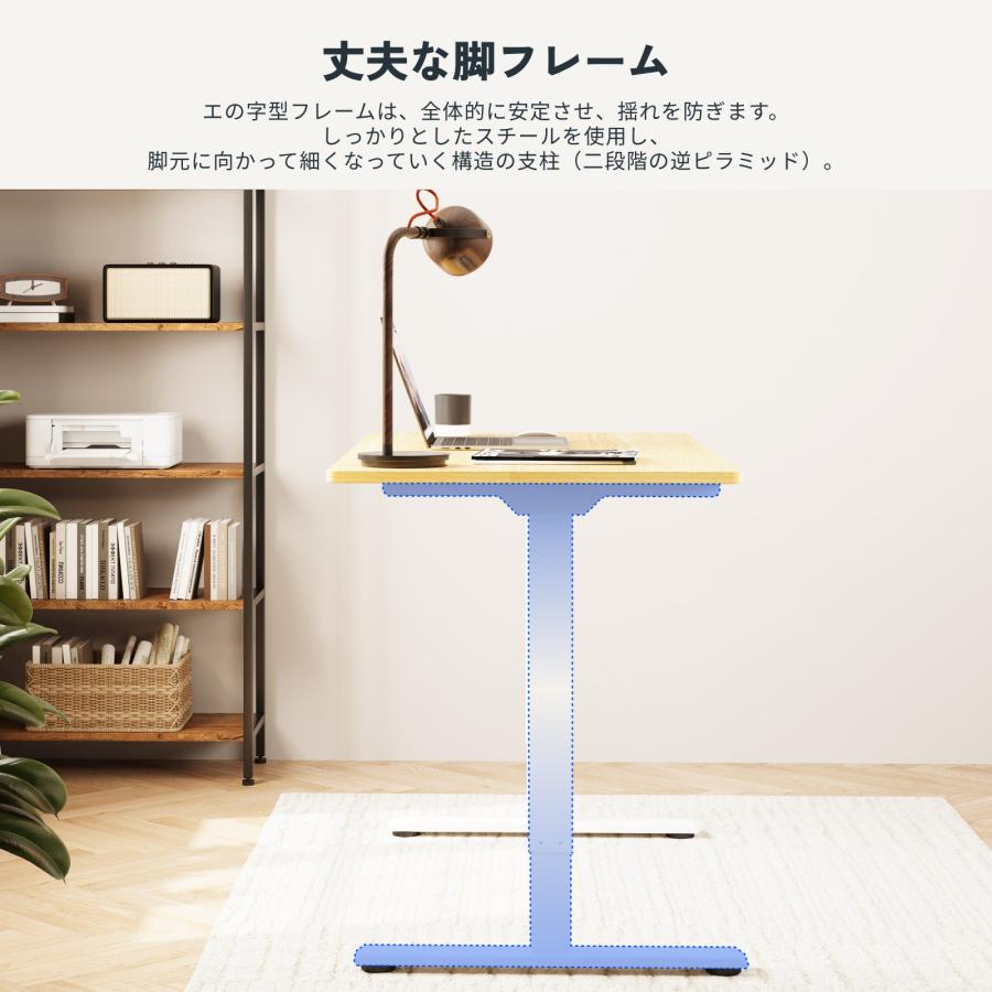 FlexiSpot スタンディングデスク Flexispot EJ2 昇降デスク 電動 FlexiSpot スタンディングデスク Flexispot EJ2 昇降デスク 電動