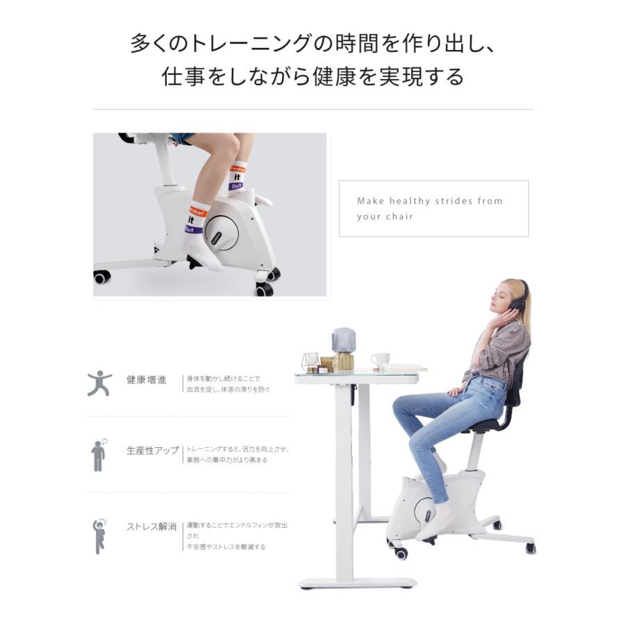 FLEXISPOT フィットネスバイク FC211エアロバイク 【公式通販】