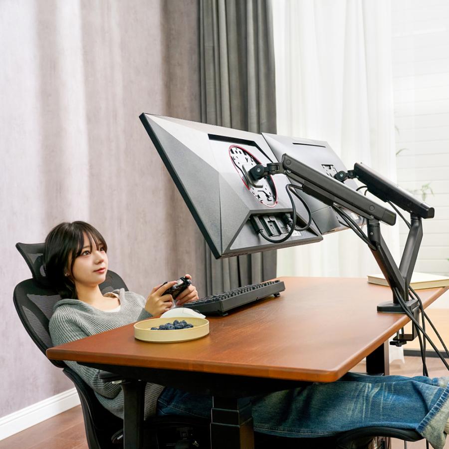FlexiSpot モニターアーム デュアル 2画面 FlexiSpot MA6S