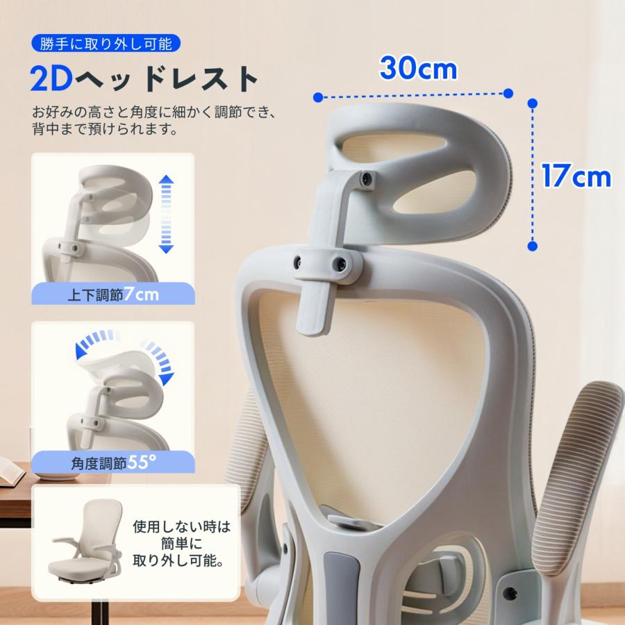 FlexiSpot 座椅子 オフィスチェア 360°回転式 FlexiSpot OC0 デスク