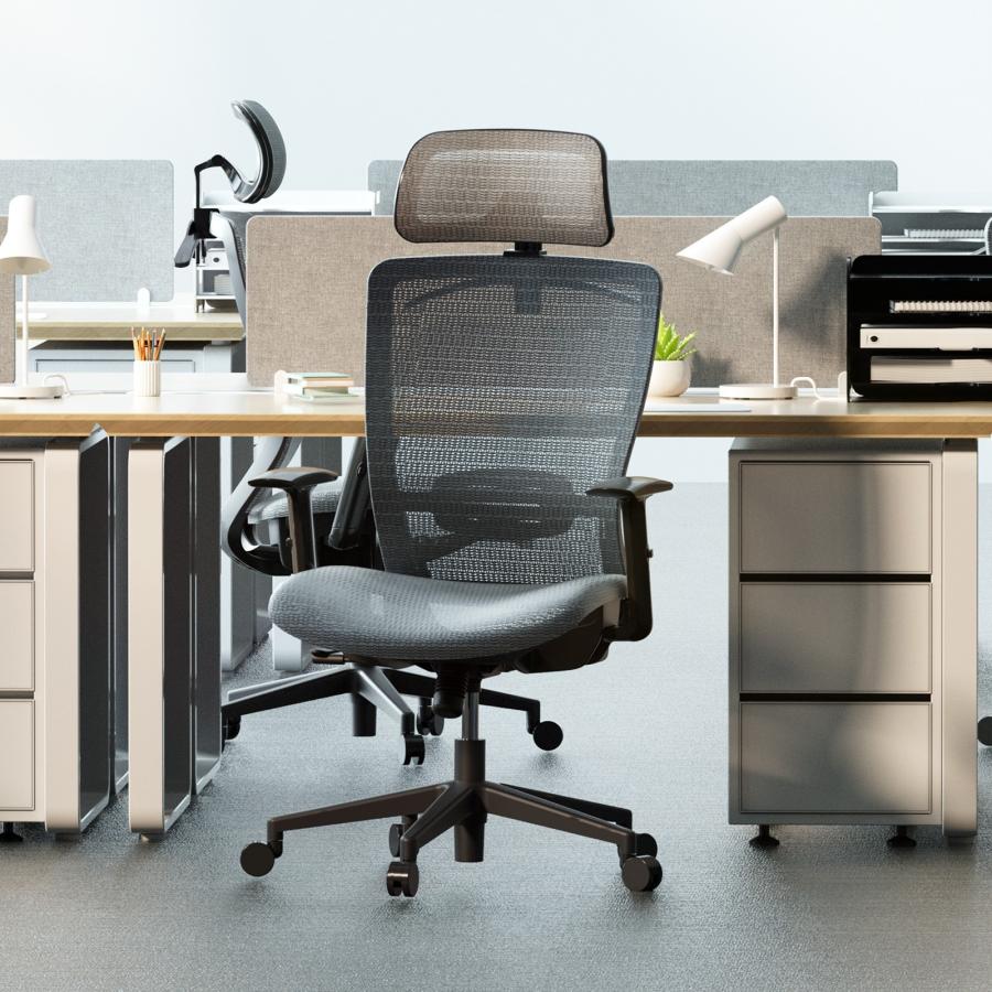 FlexiSpot オフィスチェア メッシュ シンクロロッキング OC3