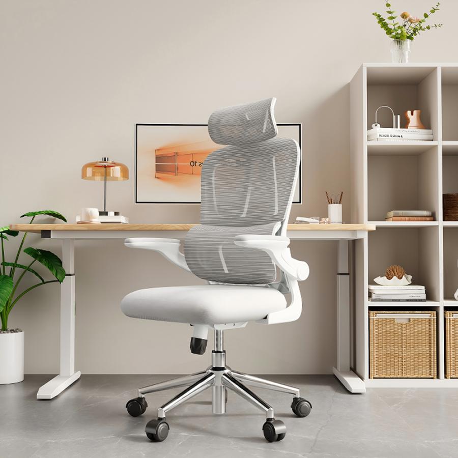 FlexiSpot オフィスチェア リクライニング FlexiSpot OC6 デスクチェア
