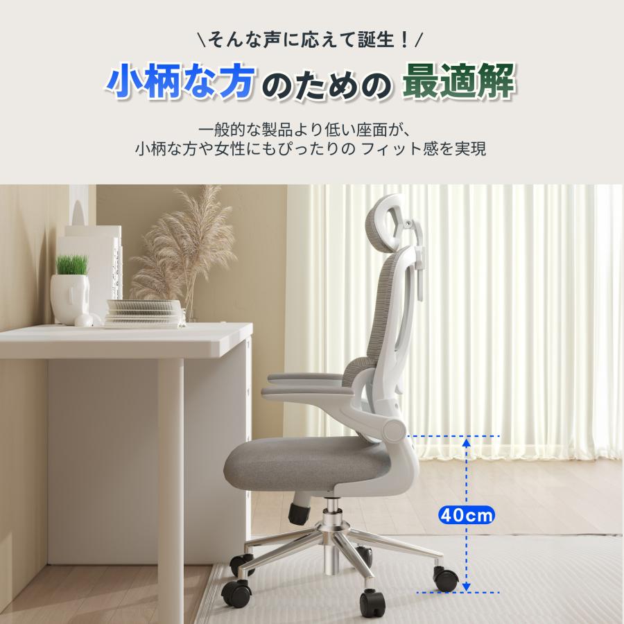 FlexiSpot オフィスチェア リクライニング FlexiSpot OC6 デスクチェア