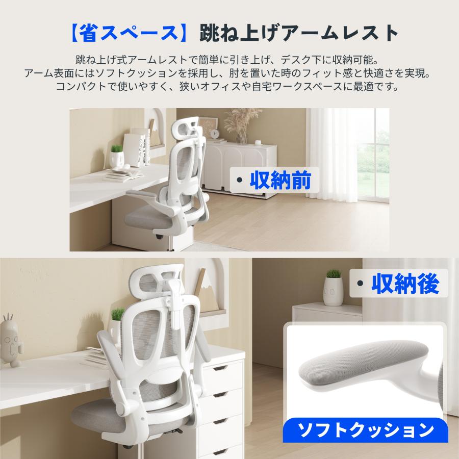FlexiSpot オフィスチェア リクライニング FlexiSpot OC6 デスクチェア