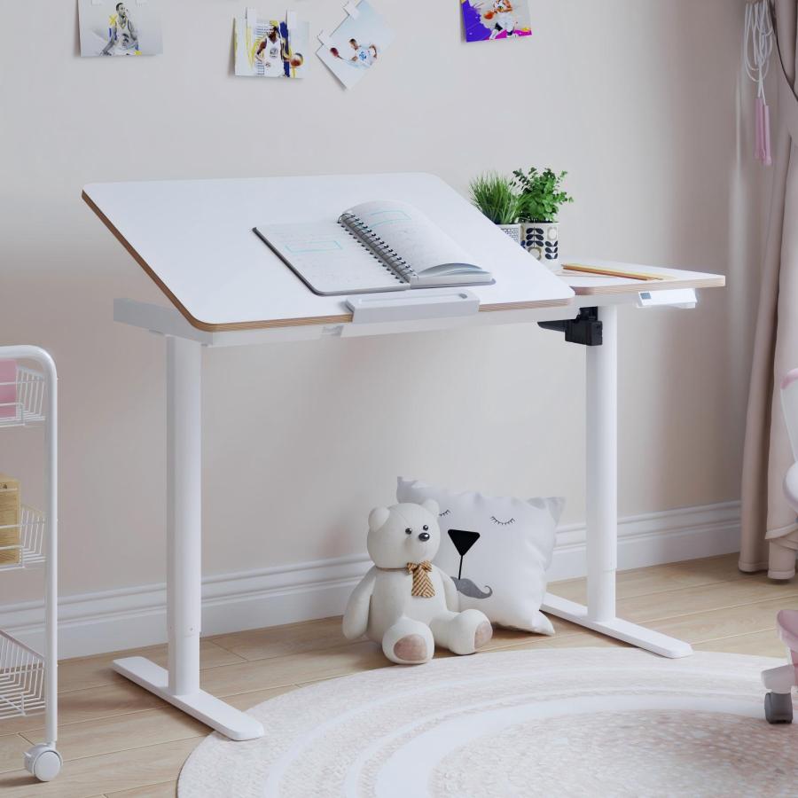 FlexiSpot 電動昇降デスク 学習机 シンプル コンパクト 昇降