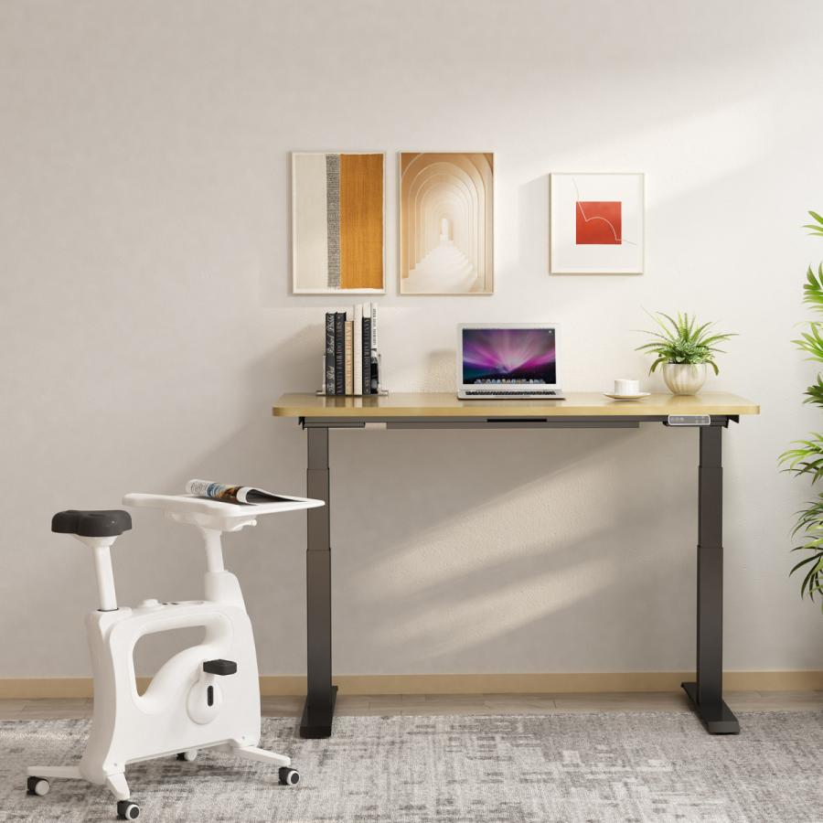 FlexiSpot エアロバイク フィットネスバイク Flexispot FlexiSpot エアロバイク フィットネスバイク Flexispot
