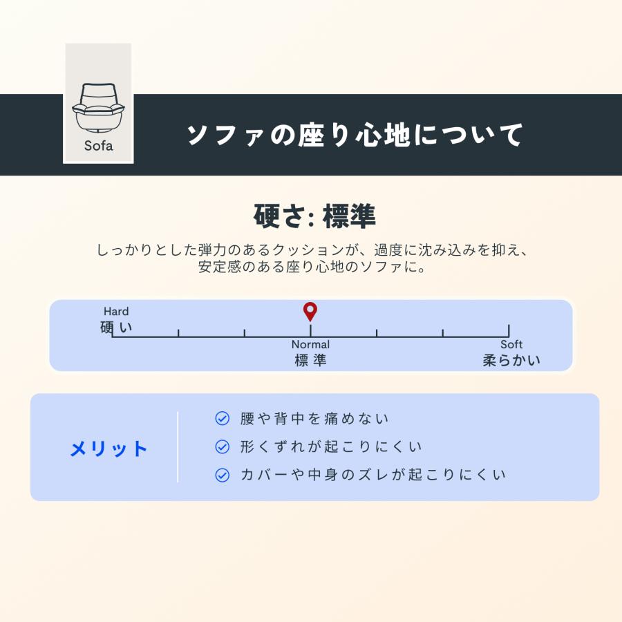 FlexiSpot リクライニングソファ 手動 デスク 【組立設置無料