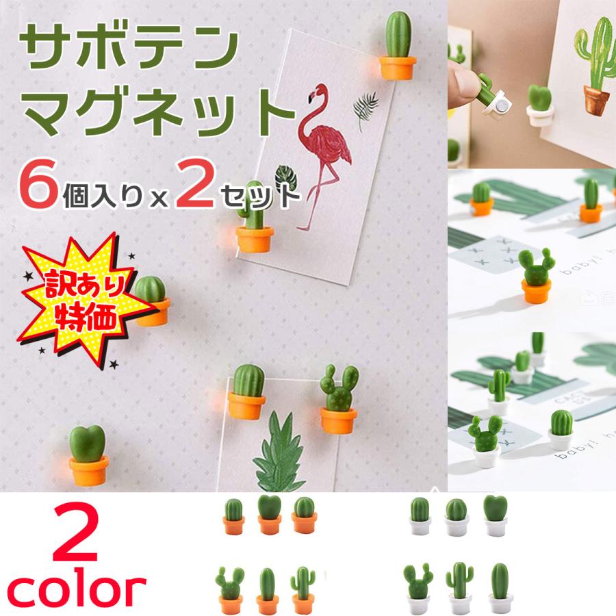 マグネット 冷蔵庫をおしゃれに 磁石 6個入り×2セット サボテン 可愛い