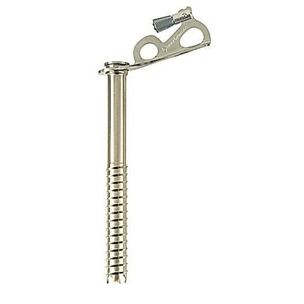 ブラックダイヤモンド エクスプレスアイススクリュー 19cm