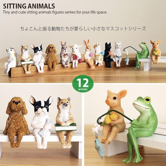 ガーデニング オーナメント 置物 かわいい 動物 マスコット ミニチュア Sitting Animal 犬 猫 カエル 蛙 ブタ ハリネズミ De043 ロディ 通販 Yahoo ショッピング