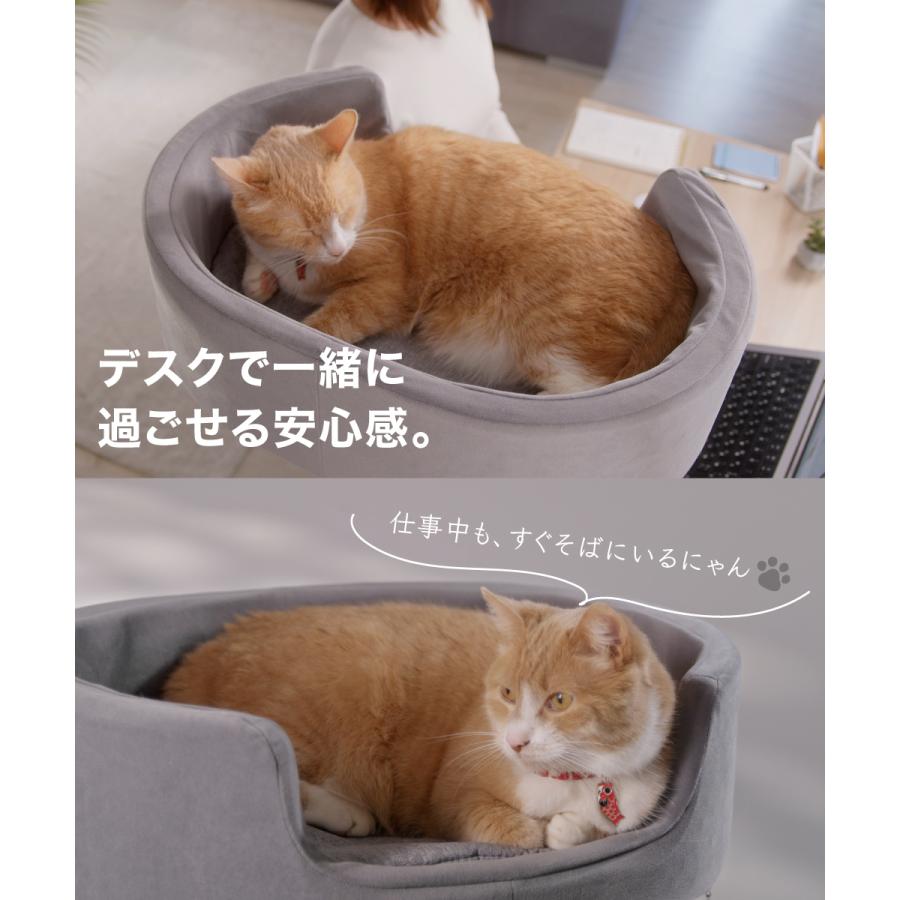 LOE LOE(ロエ) デュアルアーム キャットタワー デスク取り付け型 猫用