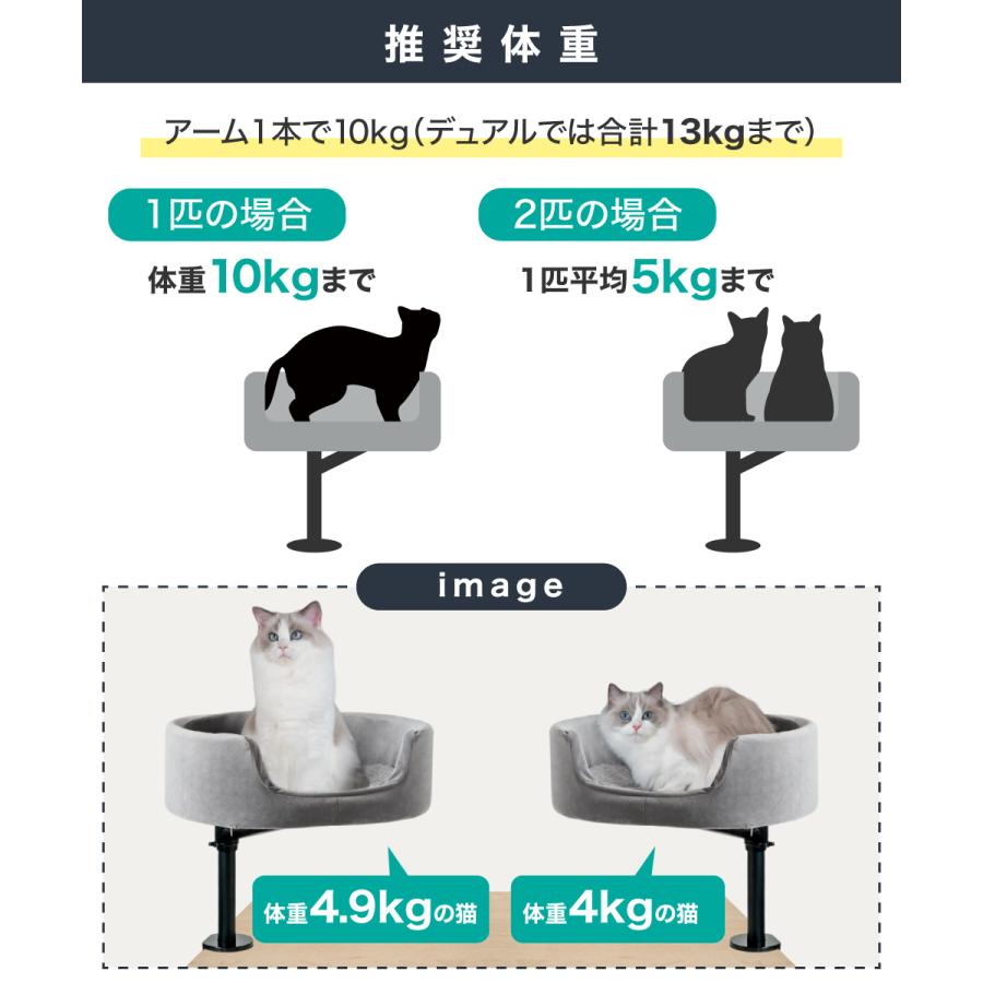 LOE LOE(ロエ) デュアルアーム キャットタワー デスク取り付け型 猫用