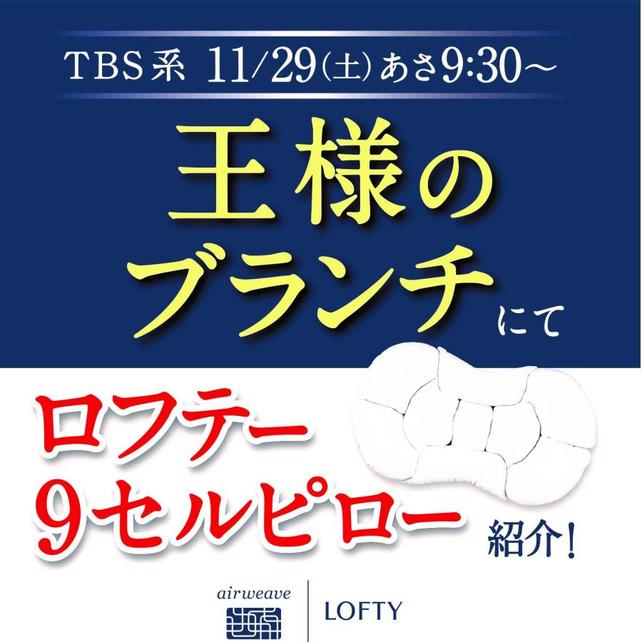 新発売 枕 高級 プレミアム 9セルピロー エアファイバー 肩こり 寝返り 首が痛い 首こり 寝やすい 横向き 快眠枕 洗える エアウィーヴ グループ枕ブランド LOFTY | LOFTY（ロフテー） | 02