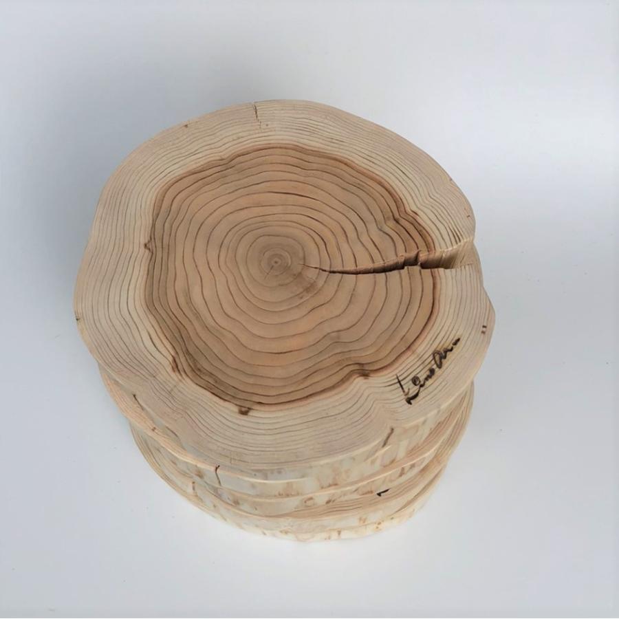 杉　丸太皮なしスライス　5枚セット |  | 02