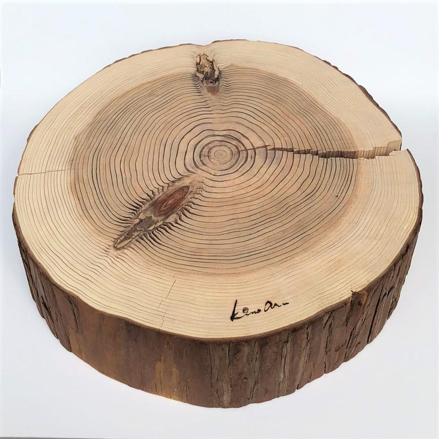 杉　丸太皮付きスライス（大）訳アリ品特価！ | 