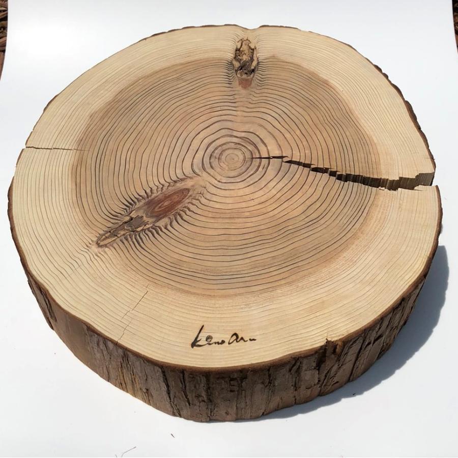 杉　丸太皮付きスライス（大）訳アリ品特価！ |  | 02