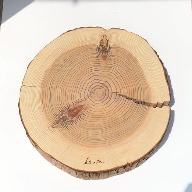 杉　丸太皮付きスライス（大）訳アリ品特価！ |  | 04