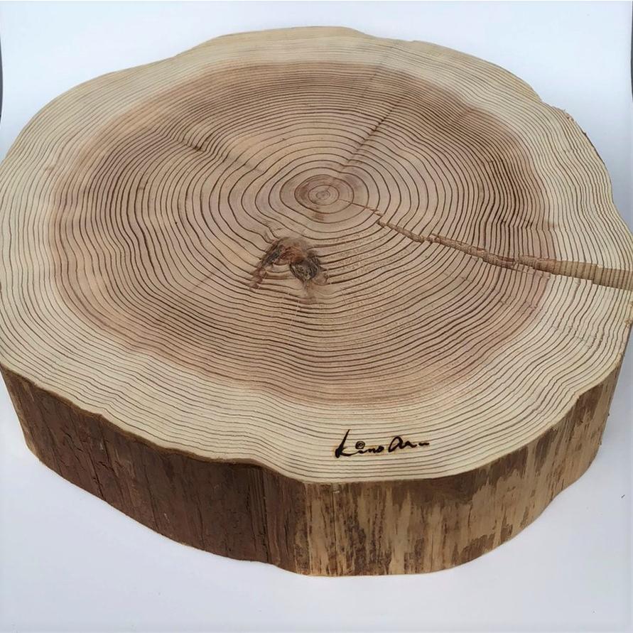 杉　丸太皮なしスライス（大） | 