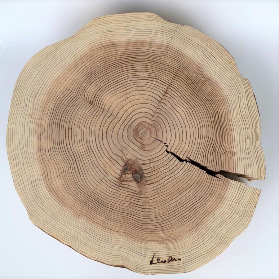 杉　丸太皮なしスライス（大） |  | 01