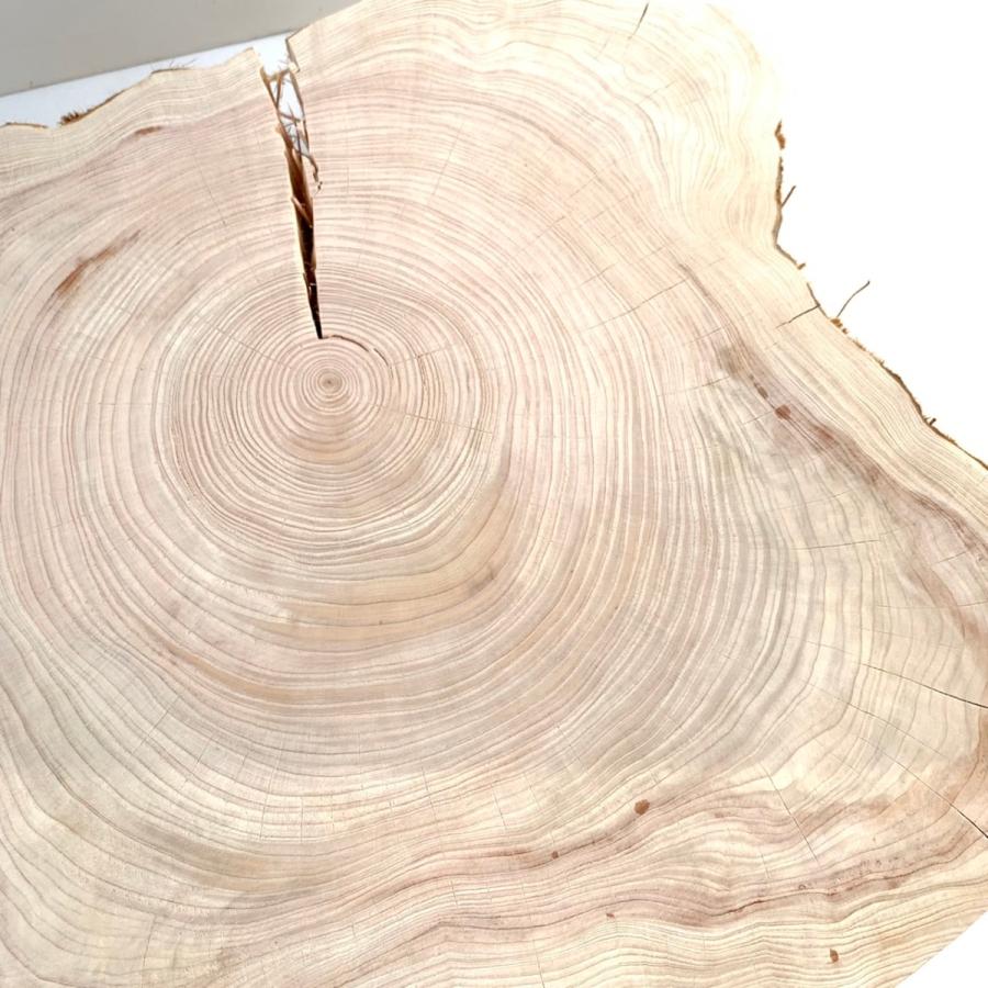 桧　輪切りスライス　一点モノ |  | 04