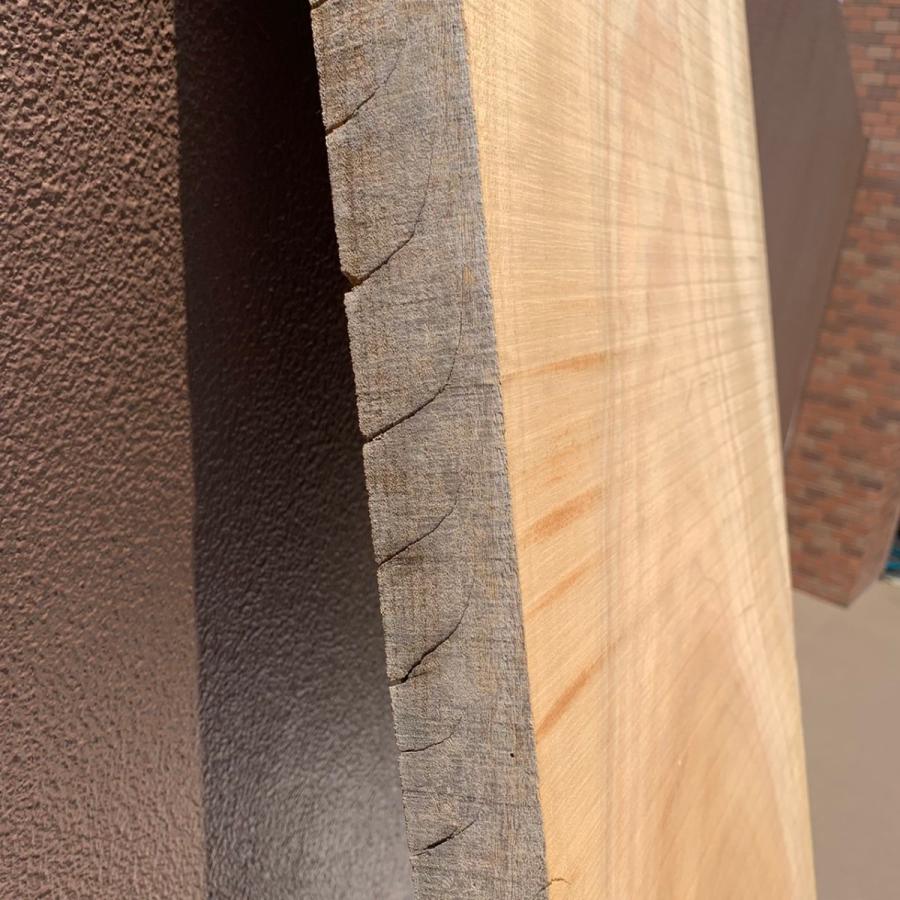 楠の木　一枚板　荒板特価！【1785ミリ×45ミリ×395ミリ】訳アリ特価 |  | 04