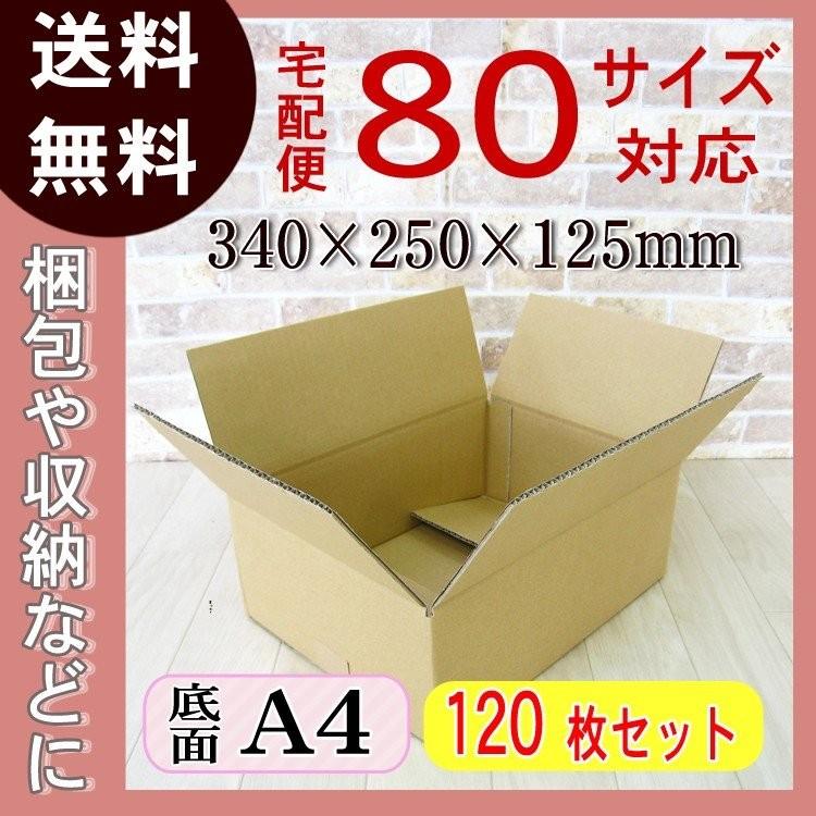ロジマート ダンボール 段ボール 80サイズ 3 40×250×125mm 120枚【法人
