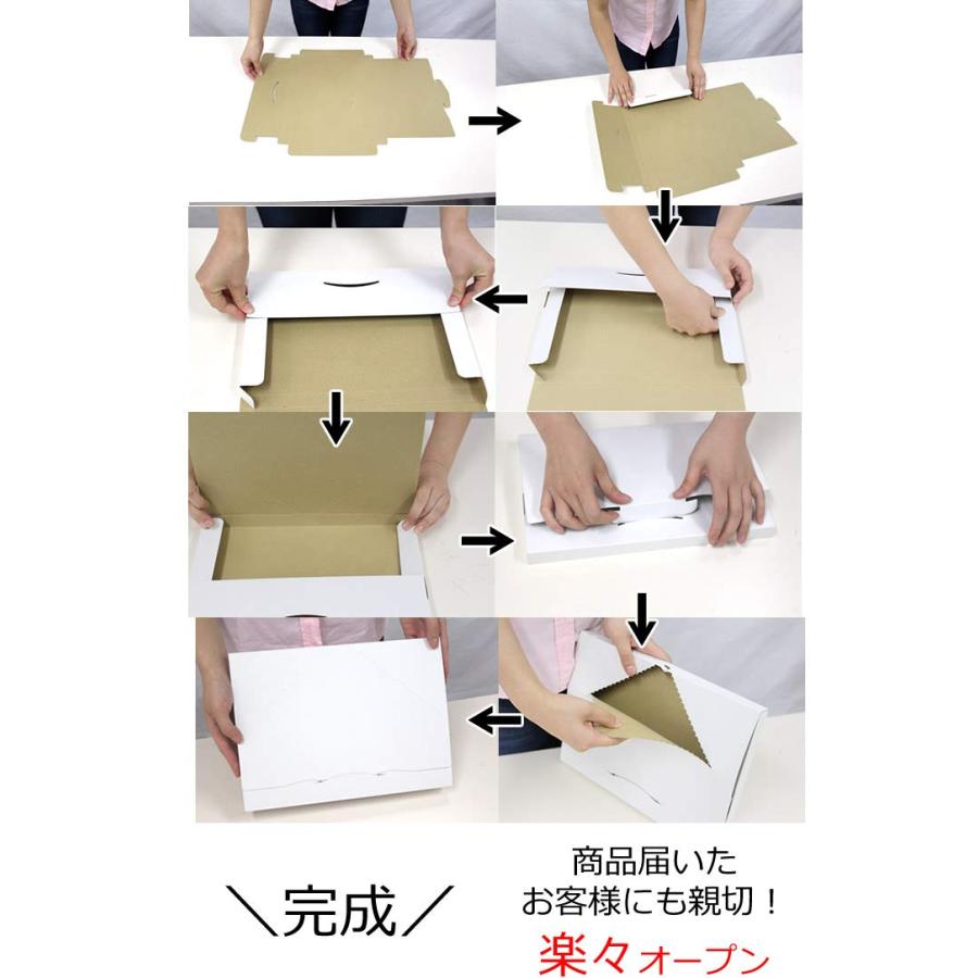 NO.483 ネコポス ダンボール 厚さ2.5cm 100枚 白 ネコポス専用 312×228