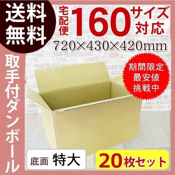 NO.339 【法人様向け】【20枚】ダンボール (段ボール) 160サイズ(720