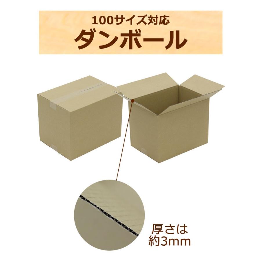 NO.19 ダンボール 茶 100サイズ 380×270×290 250枚入 法人限定