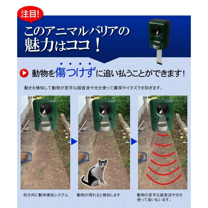 アニマルバリア 3セット 正規品 鳥よけ 鳩よけ 鳥害対策 防鳥 鳩 対策 猫よけ 猫撃退 動物除け 動物バリア 庭 畑 害獣除け 糞尿被害 排泄被害 害獣 鳥獣対策 Ij Anb 03 3set ロジック Logic Yahoo 店 通販 Yahoo ショッピング