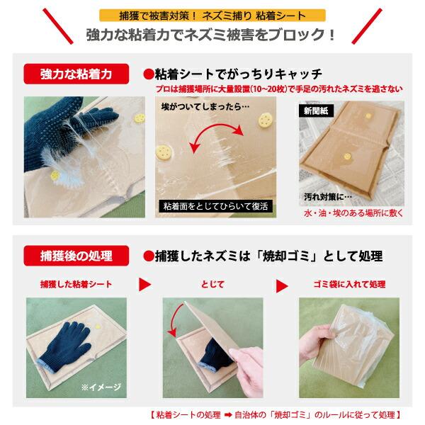 ネズミ捕り 粘着シート 20枚セット ネズミ被害 困っている なんとか