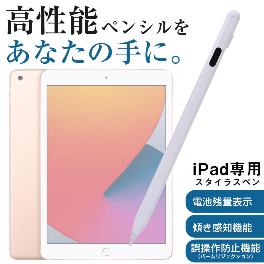 タッチペン iPad ペンシル スタイラスペン 極細 Type-C充電 パーム