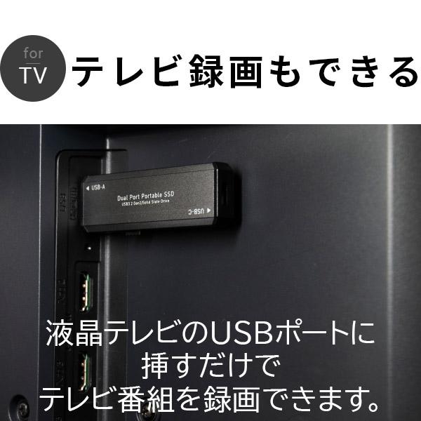 ロジテック SSD 外付け 250GB 高速 type-C type-A 両対応 テレビ ロジテック SSD 外付け 250GB 高速 type-C type-A 両対応 テレビ