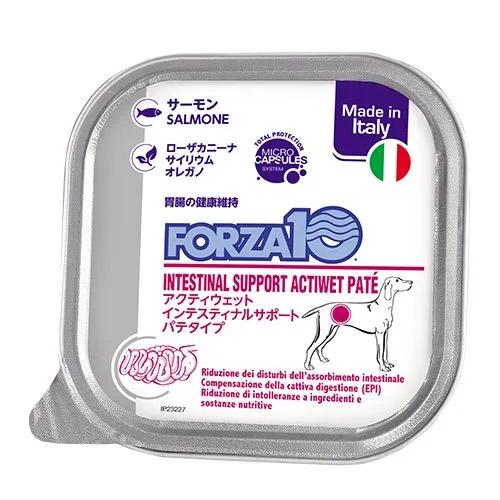 FORZA10 インテスティナルアクティウェット 犬用 100g : ロゴスペット