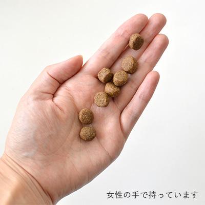 GO ゴー ドッグフード カーニボア チキンターキーアンドダック シニア 犬用 2.3kg ペット ペット用｜logos-pet｜04